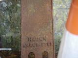 image of grave number 796039